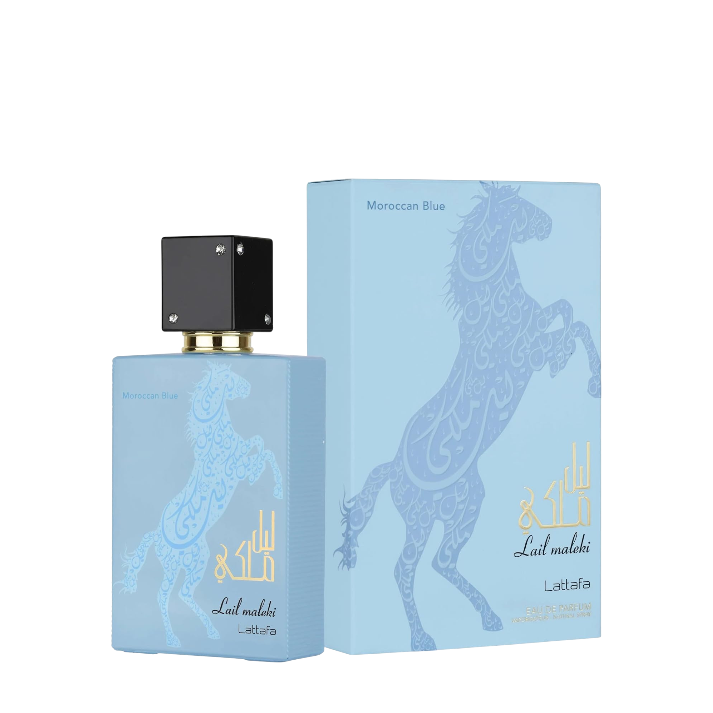 Lail Maleki Moroccan Blue