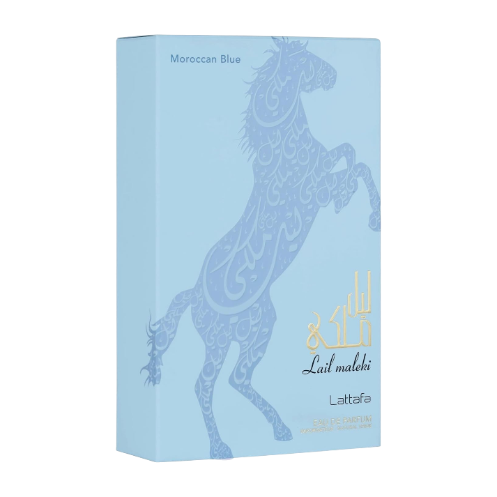 Lail Maleki Moroccan Blue