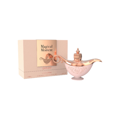 Magical Moment Dream